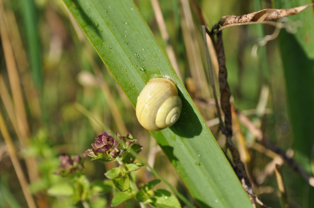 Das aktuelle Bild hat keinen Alternativtext. Der Dateiname ist: dsc_0043.jpg